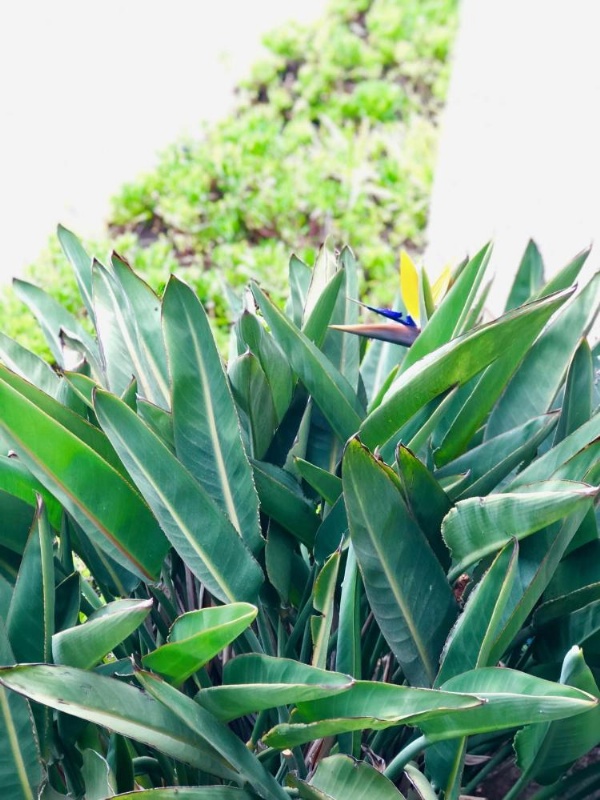 HUNTINGTON BEACH INN image 22